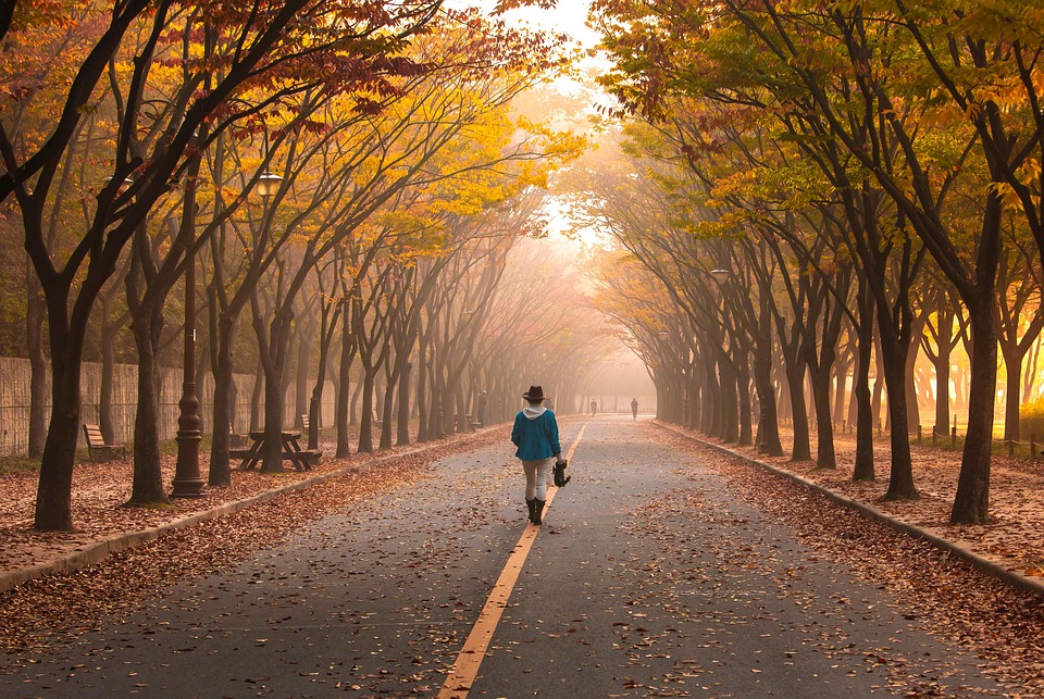 Walking after dinner after feeding the night, readless of the experts for health, read Details