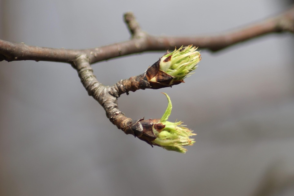 May keep kidneys healthy and clean these 5 things, in today’s Doet
