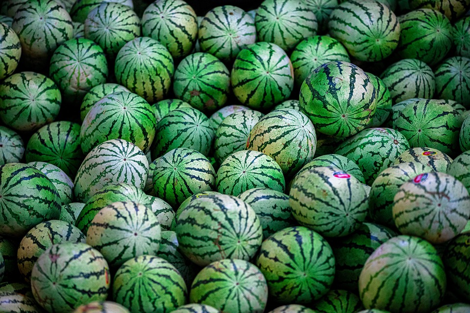 Watermelon not only summer enemies are full of water these 5 fruits, expert in cooling the body