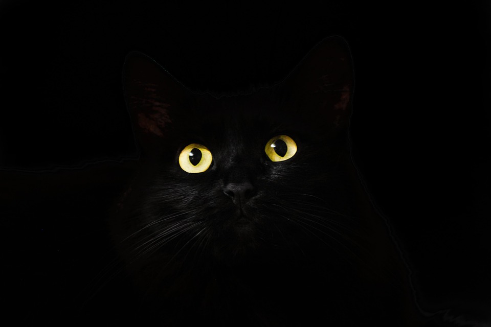 Is it black due to rotting? These methods will make it in a few minutes clean, read detail