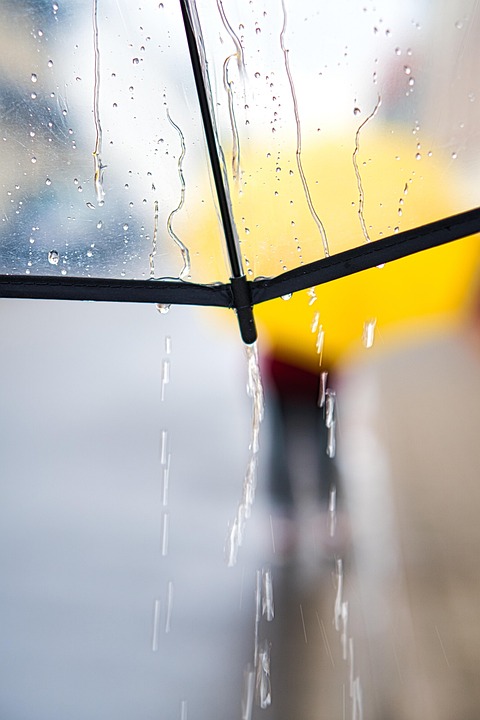 Bother the most in the rainy season flies, don’t get the measure so far