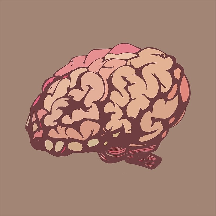 Your brain shorts on reels Your brain shorts on reels