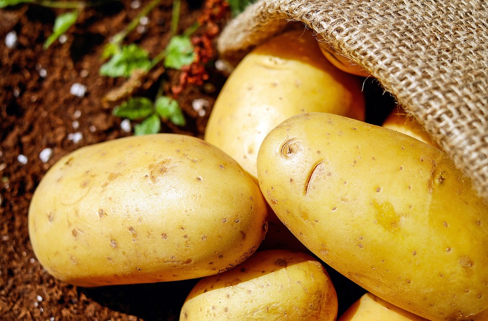 Vegetables without refrigerations will be less! Learn Nishi Storage Hocks