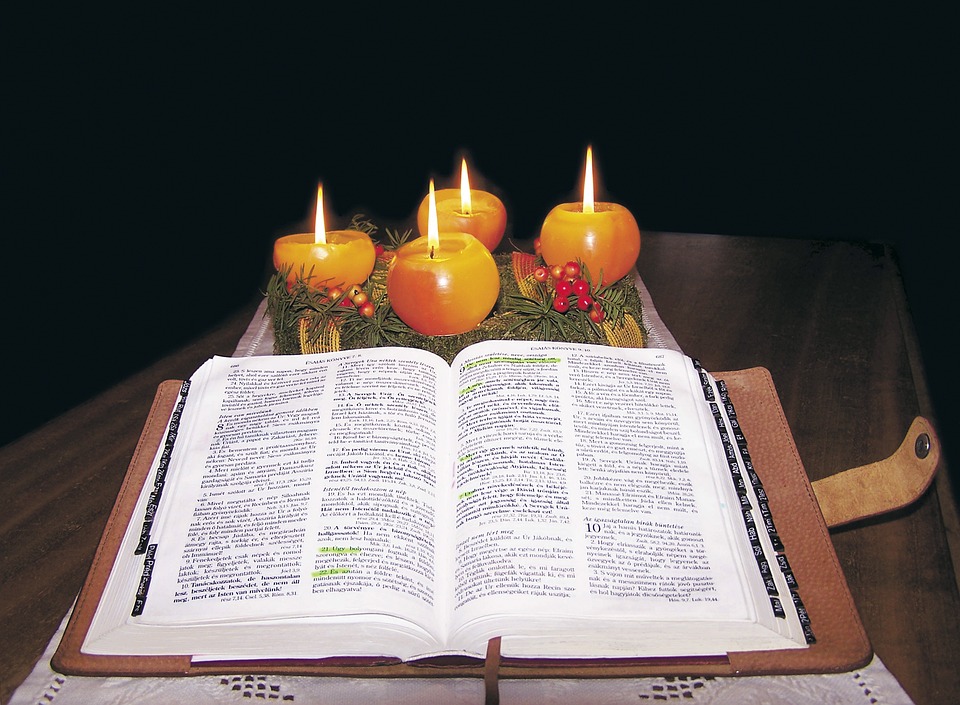 Redemption from rotating lizards with Rs 1 is easily deported, these enemies – News-Patiala English