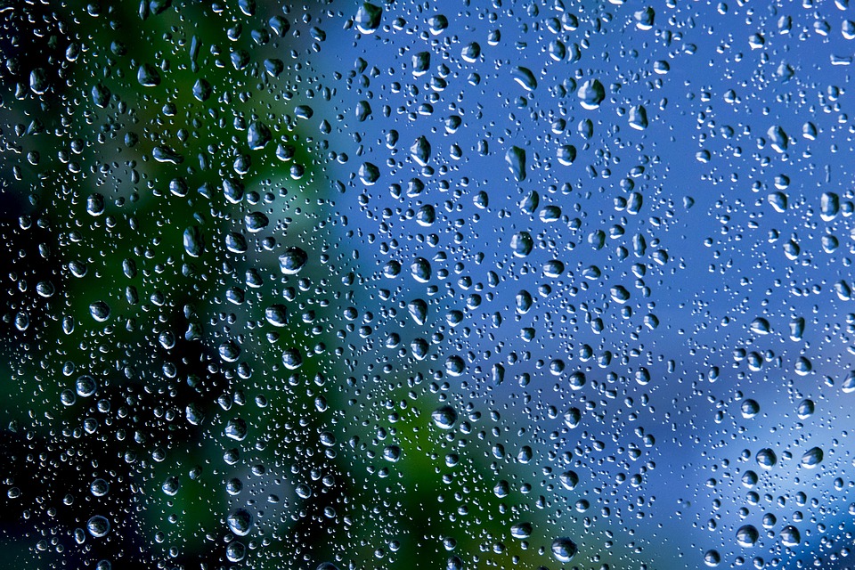 The rainy season exispends the most poisonous snakes, bite, leaning in minutes, know speciality