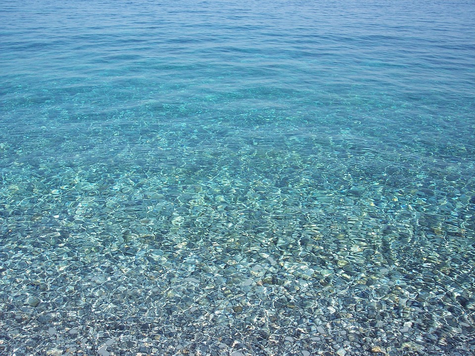 Create on the monsoon in the house it will appear in the mouth will soon appear in the crispy and typical cheese starter, water! Note the Rashpi