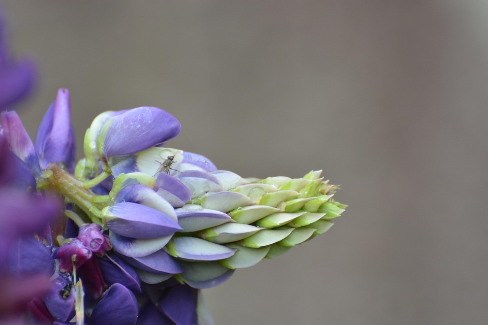 Vastu Tips: These people will be replaced by peace, unhappy