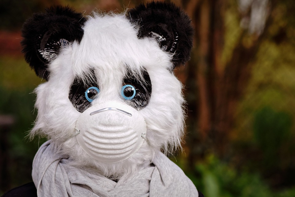 Caution! Not only the dog cutting the dog, also dressing not die