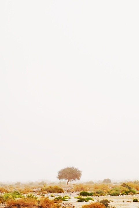 Way to minimize children’s screen time, only after completing the homework mobile phone – News-Patiala English