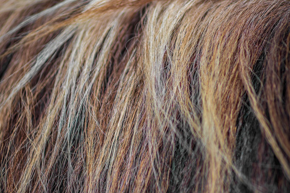 How to do hair without strinner straight? … How to look here brightly and silky hair will look like …