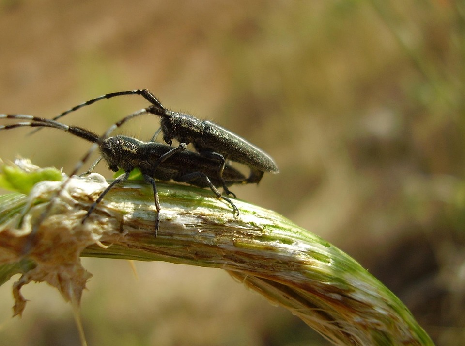 Do not make these errors in water like a zubin gargle … otherwise may be in 2 minutes