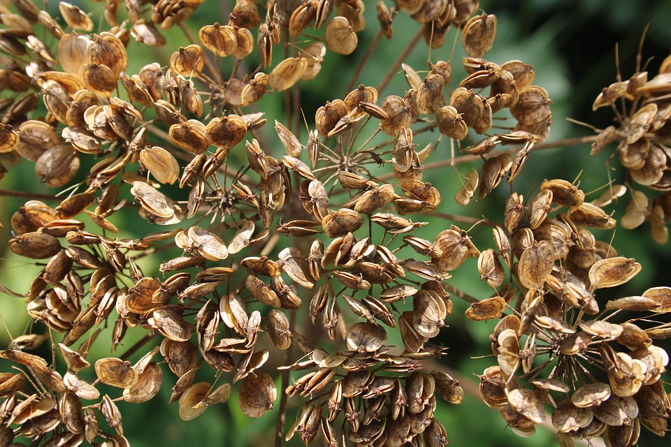 How much was spent on building the Taj Mahal, you will be blown away! – News-Patiala Punjabi