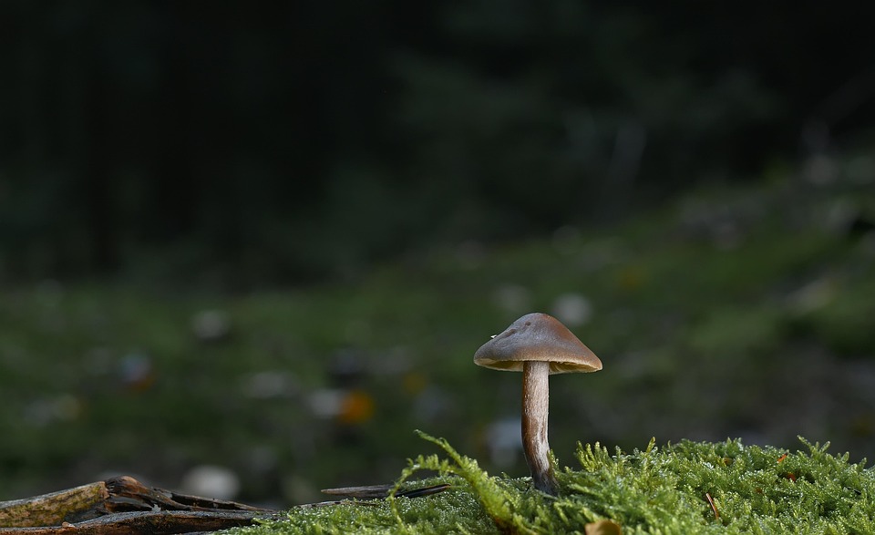 According to science, 5 foods reduce all types of cholesterol, sugar levels are also controlled