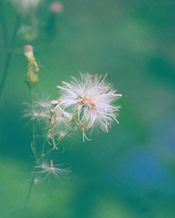 Deepika Kakkar cried in the hospital, these side effects from cancer treatment, said, it is difficult…