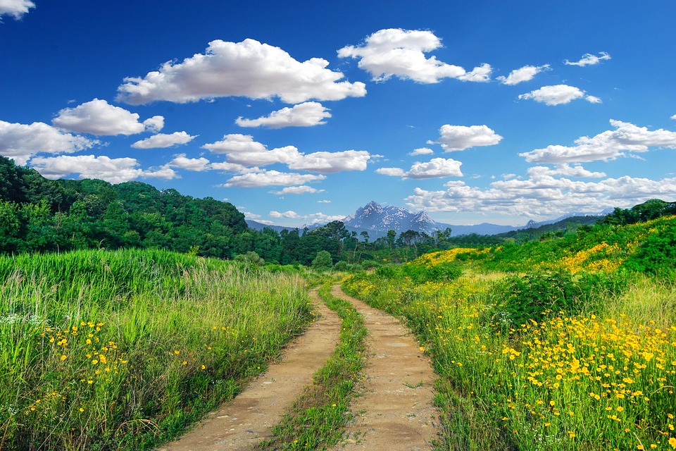 Don’t make these dangerous mistakes as soon as you wake up in the morning, otherwise your health may gradually deteriorate and you will remain tired throughout the day. | Life