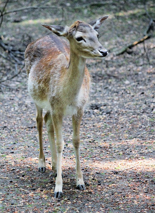Be careful if you also use this medicine for a minor problem! This can cause intestinal problems, if you also use this medicine for a minor problem, be careful! It can cause intestinal problems. | Health
