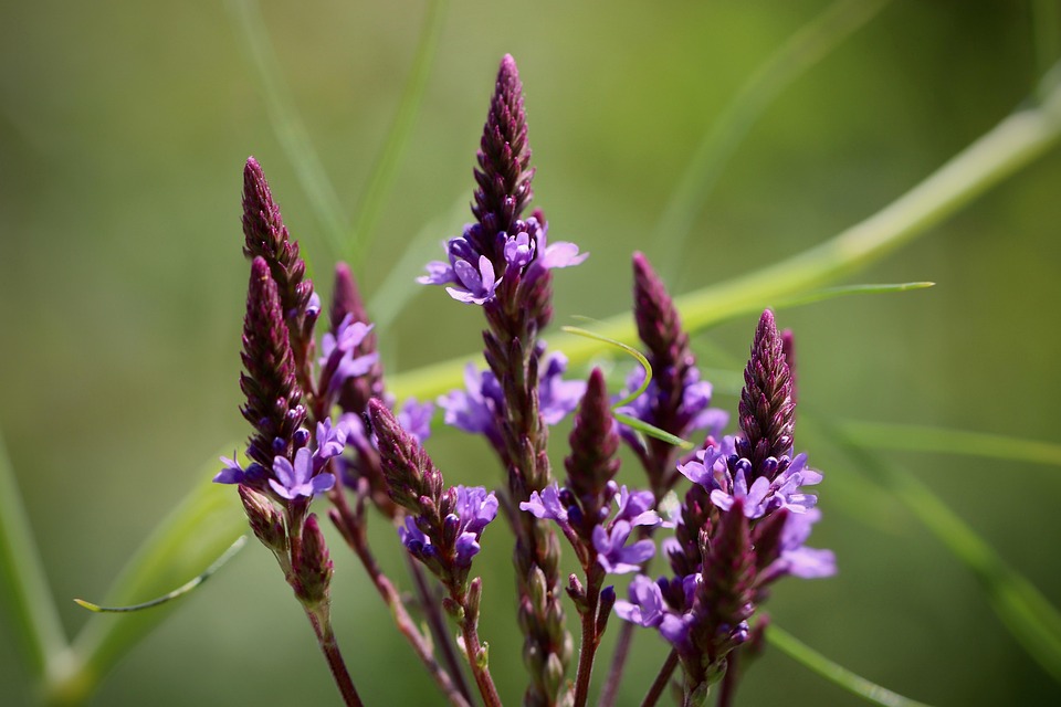A panacea for stomach problems and indigestion, eat this on an empty stomach for a few days, know the right time and method. Life