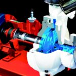 Do refrigeration spoil eggs? Learn the scientific truth about storage Life