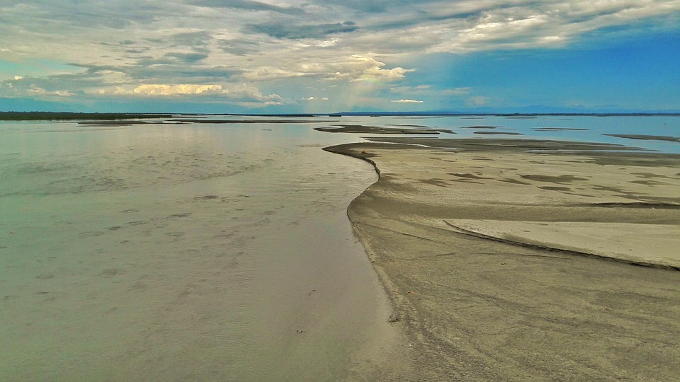 Assam Polygamy Ban: How many people do polygamy in Assam, read here which state of the country has the highest prevalence of this practice | Life