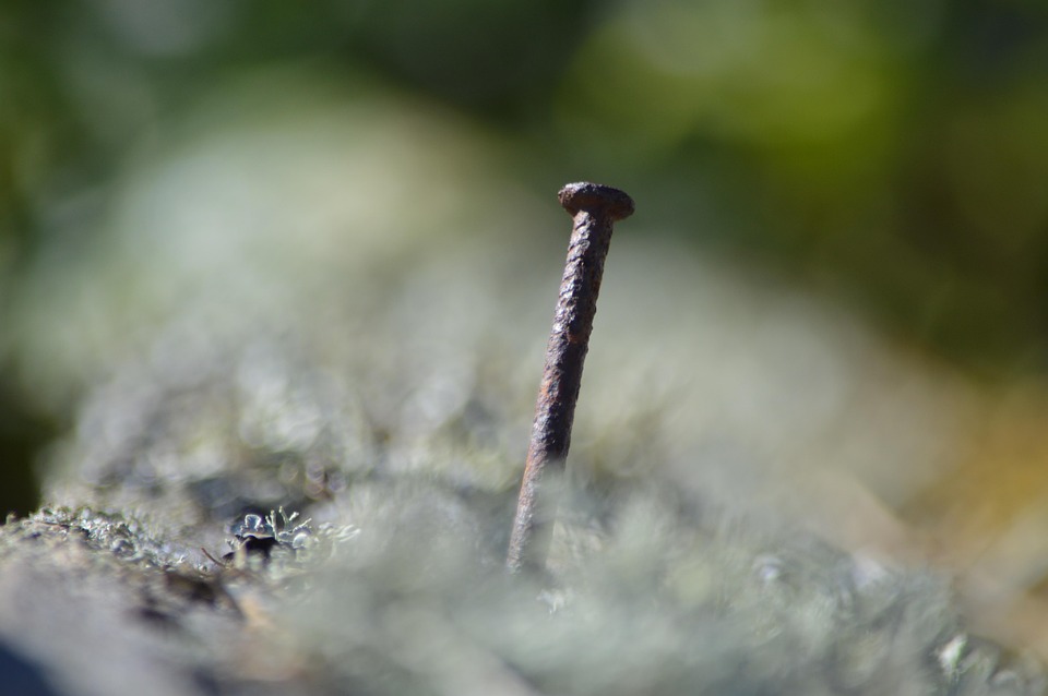 How much salary does an IndiGo pilot get? Here is the complete detail Life