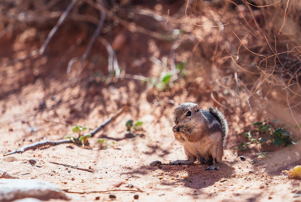 Does eating eggs increase cholesterol? If you have this question in your mind, then know the correct answer, Does eating eggs increase cholesterol? If you have this question in mind, then know the correct answer. | Life