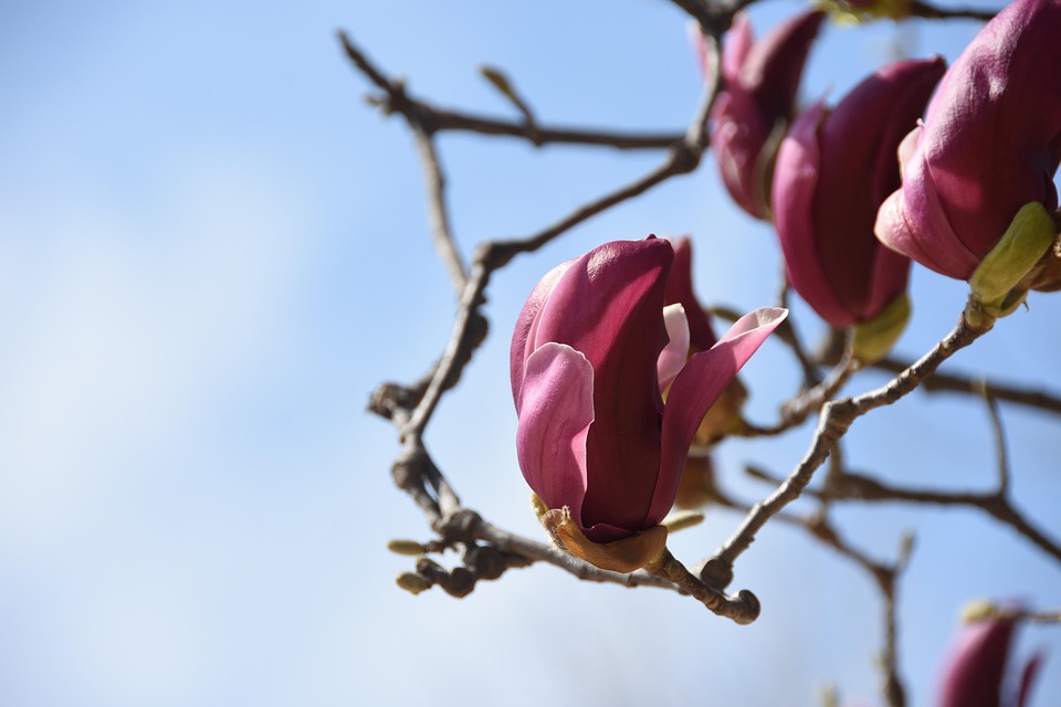 Frequent urination can be the cause of death A 28-year-old woman lost her life due to this habit know the reason | Life