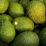 Avocado oil Health Benefits: Is avocado oil good for health? Know the doctor’s opinion, Avocado oil Health Benefits: Is avocado oil good for health? Know the doctor’s opinion Life
